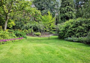 Optimiser l'expérience du jardin à Baraize