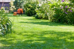 travaux jardin et paysage Baraize